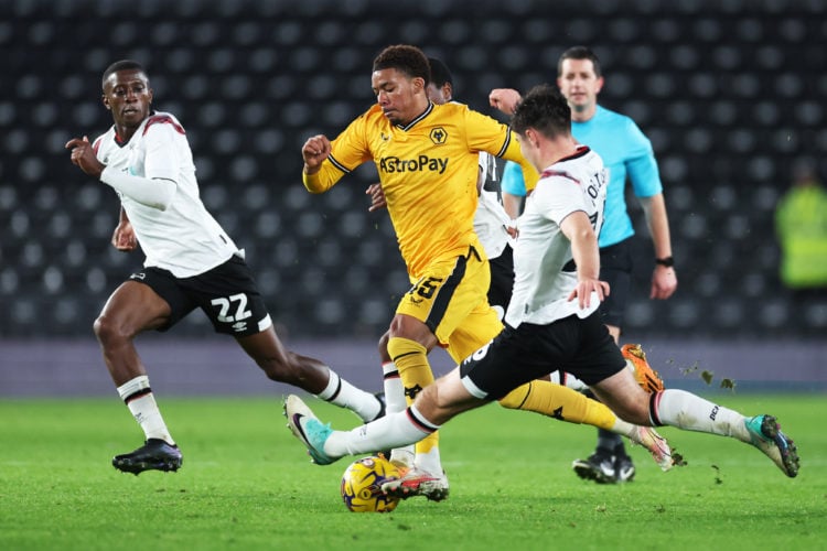 Photo by Jack Thomas - WWFC/Wolves via Getty Images